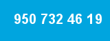 950 732 46 19